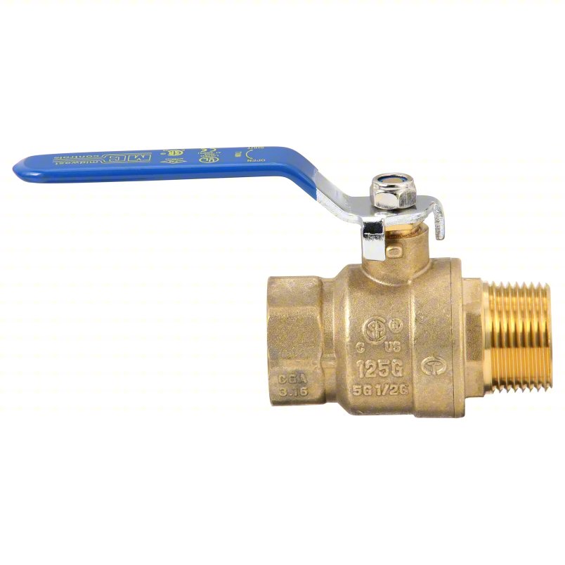 APPROVED VENDOR Manual Two-Way Ball Valve: 1 in, Straight, MNPT x FNPT, 600 psi Max. Pressure (CWP)
