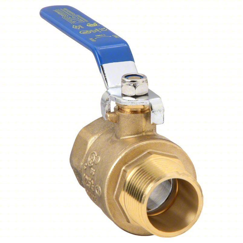 APPROVED VENDOR Manual Two-Way Ball Valve: 1 in, Straight, MNPT x FNPT, 600 psi Max. Pressure (CWP)